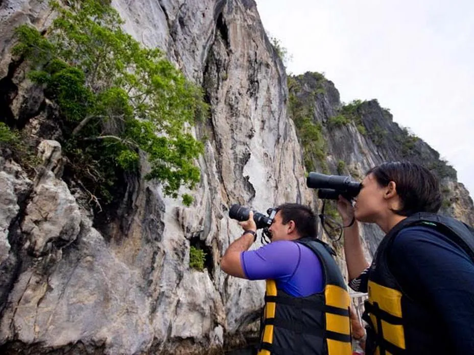 9713 14060412420019695371