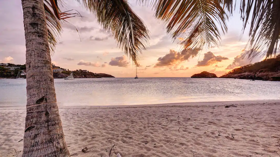 ACC 976612 ANT 73WebOriginalCompressed